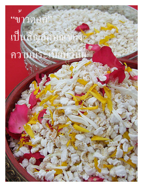 original_Rice copy