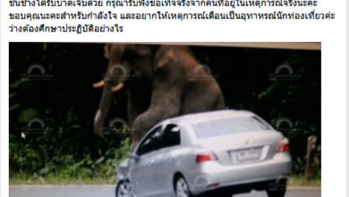 ช้างเหยียบรถ เขาใหญ่