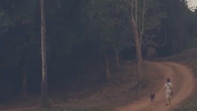 ครูภูเขา