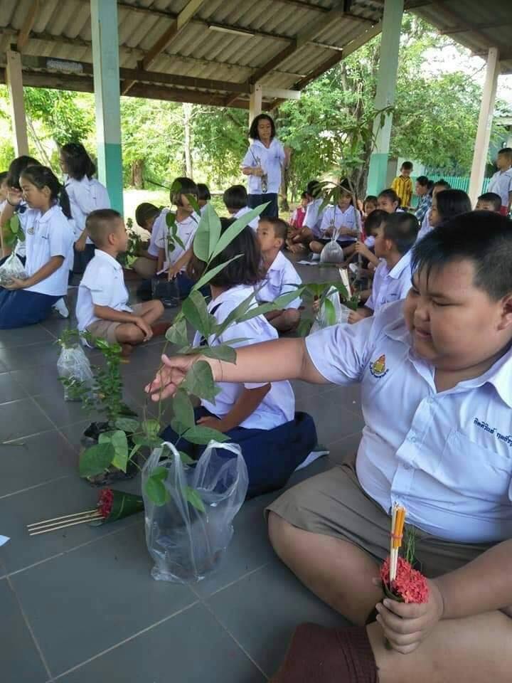 ไหว้ครูด้วยต้นไม้ กิจกรรมไหว้ครูเพื่อฟื้นฟูแผ่นดิน โรงเรียนบ้านละหานค่าย จ.ชัยภูมิ