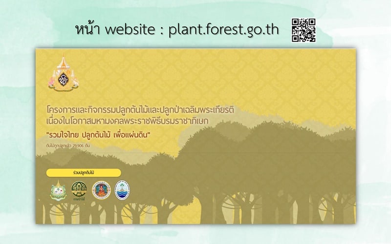 อยู่บ้านปลูกต้นไม้ ได้รับเกียรติบัตร " โครงการรวมใจไทย ปลูกต้นไม้เพื่อแผ่นดิน "