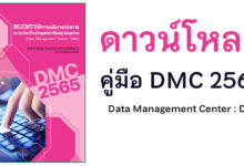 DMC 2565