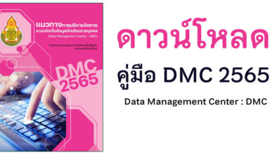 DMC 2565