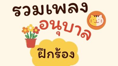 รวมเพลงเด็กอนุบาล เพลงเก็บเด็ก เพลงเบรนยิม เด็กๆอนุบาล